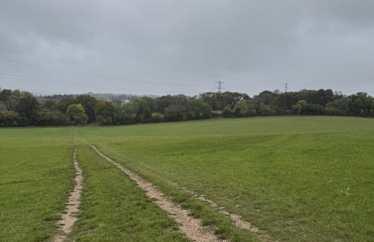 Green Belt: hoe de woningcrisis knaagt aan Londens groene schild