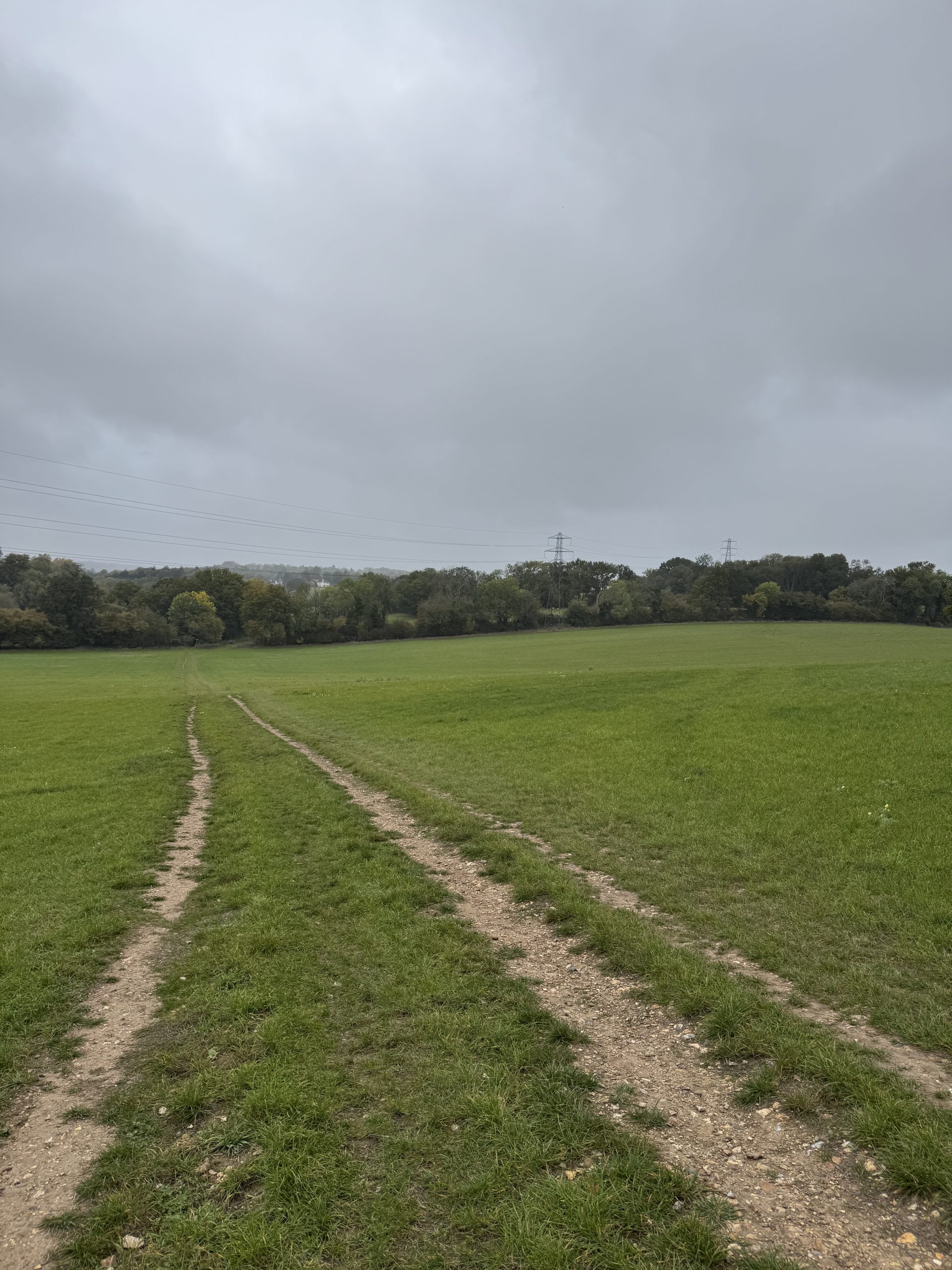 Green Belt: hoe de woningcrisis knaagt aan Londens groene schild