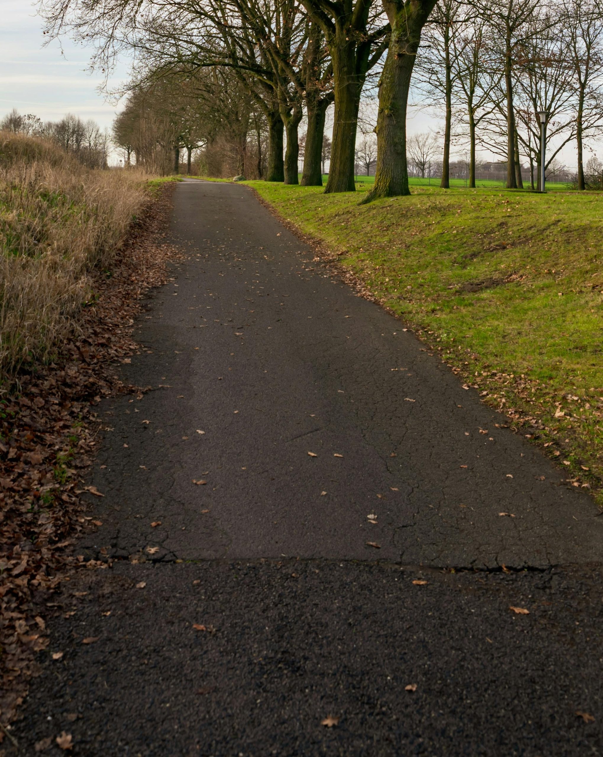 Grote fietsproblemen voor de toekomst; afgesloten fietspaden in Flevoland