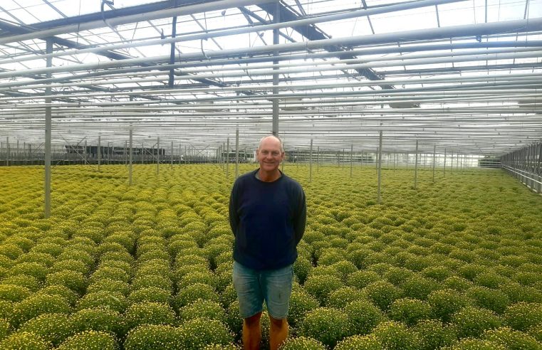 Rondleiding door de kassen van Wimaplant: “Van jongs af aan wist ik het zeker, dit is wat ik wil”