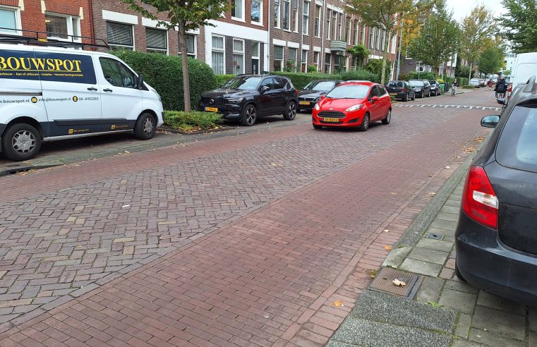 De parkeeroverlast in wijk Oud West