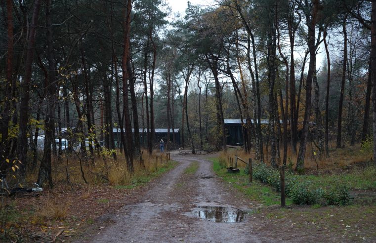 Honden aan de lijn of toch los laten lopen? 
