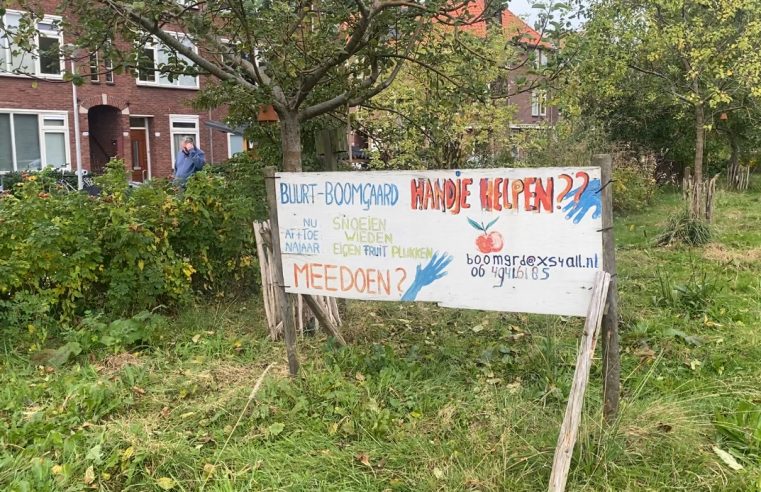 Buurtboomgaard Kostverloren: een plek waar biodiversiteit en sociale verbondenheid samenkomen
