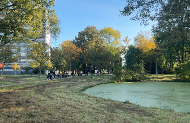 Schapen en poffertjeskraam bij Nationale Ouderendag Keizerslanden