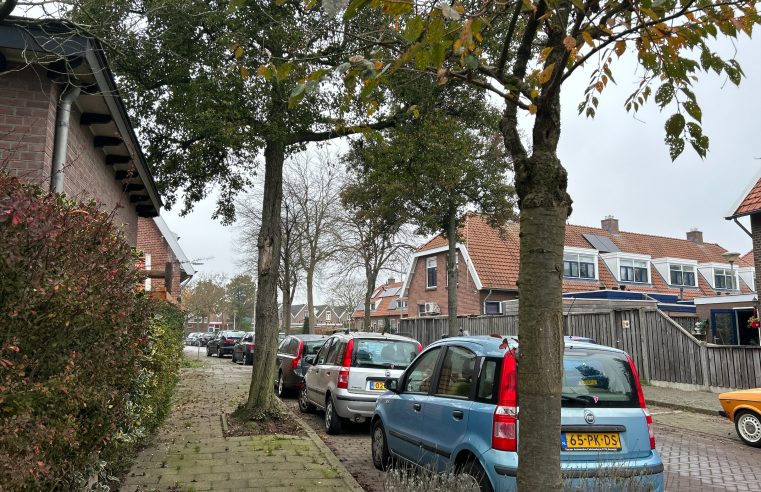 Verduurzaming van het Rode Dorp in Deventer, in gesprek met een bewoner en woningbouwcorporatie Ieder1