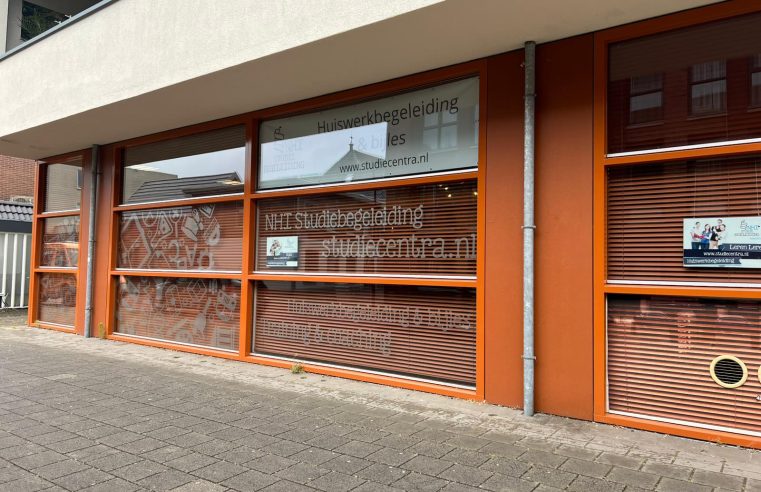 Welke rol huiswerkbegeleiding speelt binnen ongelijkheid in het onderwijs