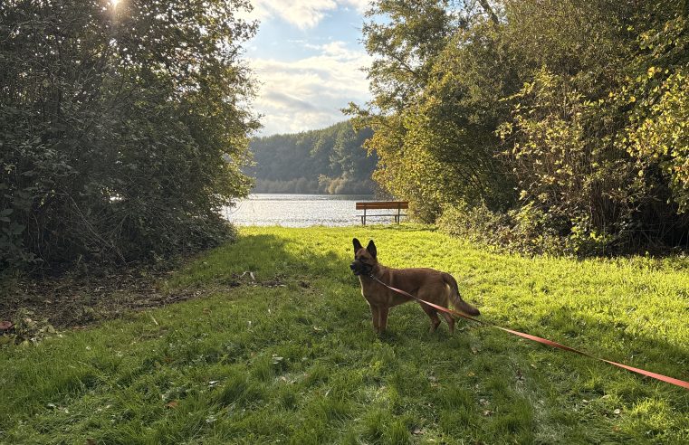 Vijftig jaar Natuurpark: balans tussen recreatie en klimaat