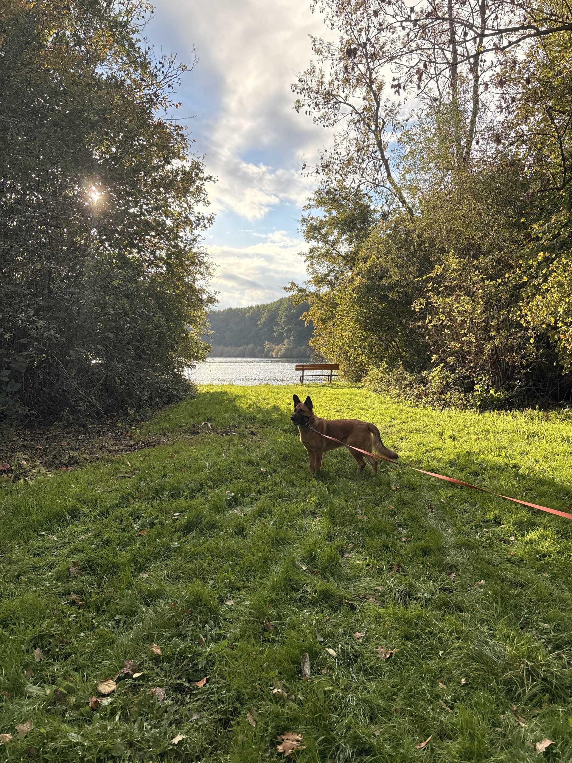 Vijftig jaar Natuurpark: balans tussen recreatie en klimaat