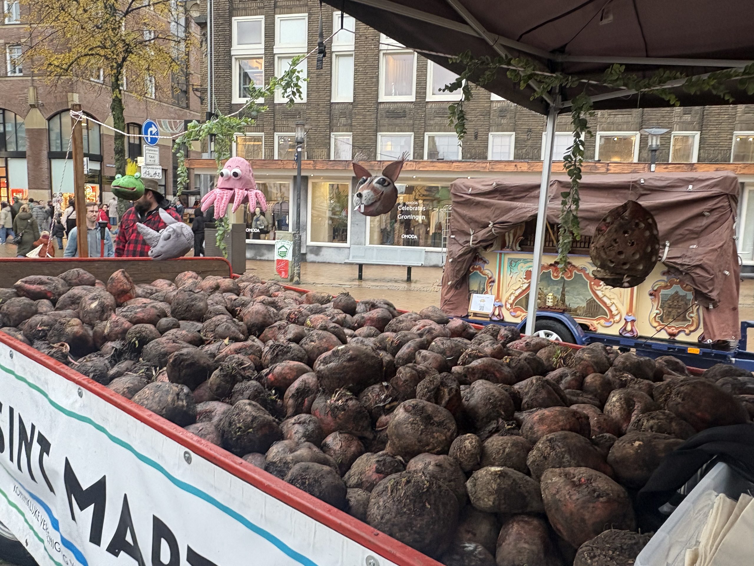 Uitdeling Voederbieten voor Sint Martinus op de Vismarkt in Groningen