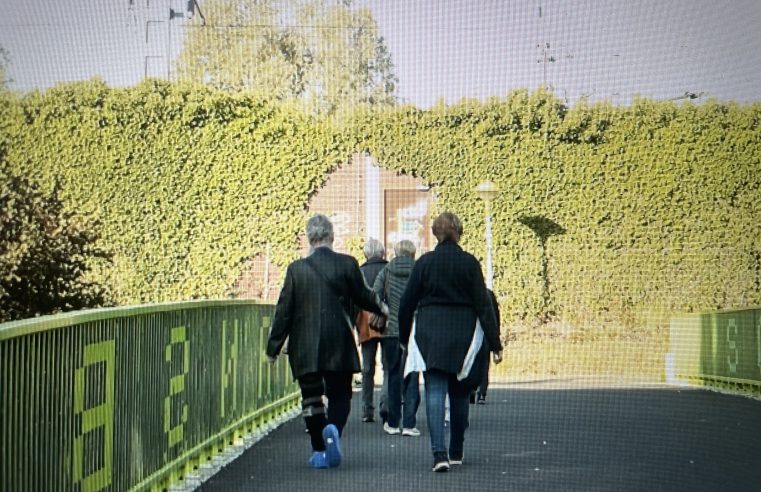 Lelystad ontdekken en verbinden