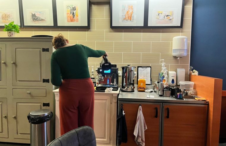“Alsof je therapie hebt gehad bij je lunch”. Kattencafé ‘T Visje bestaat een jaar