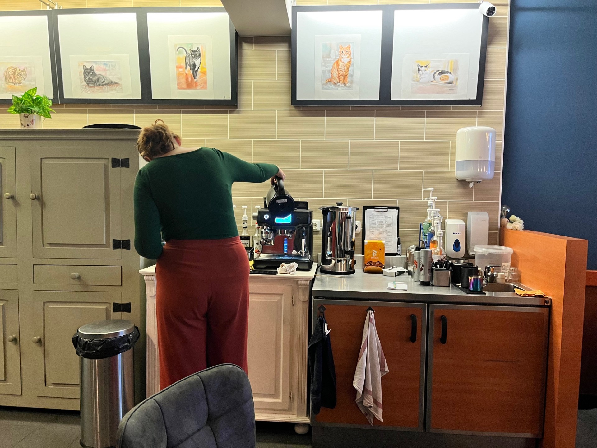 “Alsof je therapie hebt gehad bij je lunch”. Kattencafé ‘T Visje bestaat een jaar