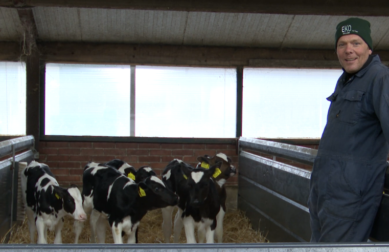 Uit liefde voor de dieren: Bert Mensink kiest voor biologisch