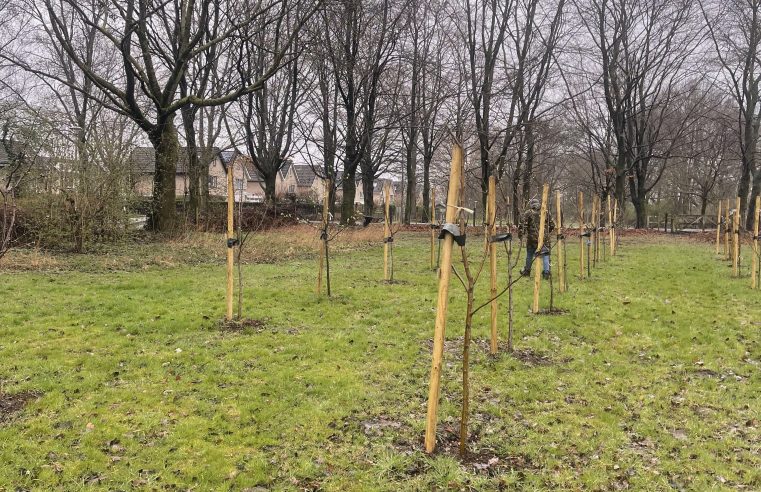 Tijdens NLdoet 2026 helpen vrijwilligers het voedselbos in Schelfhorst