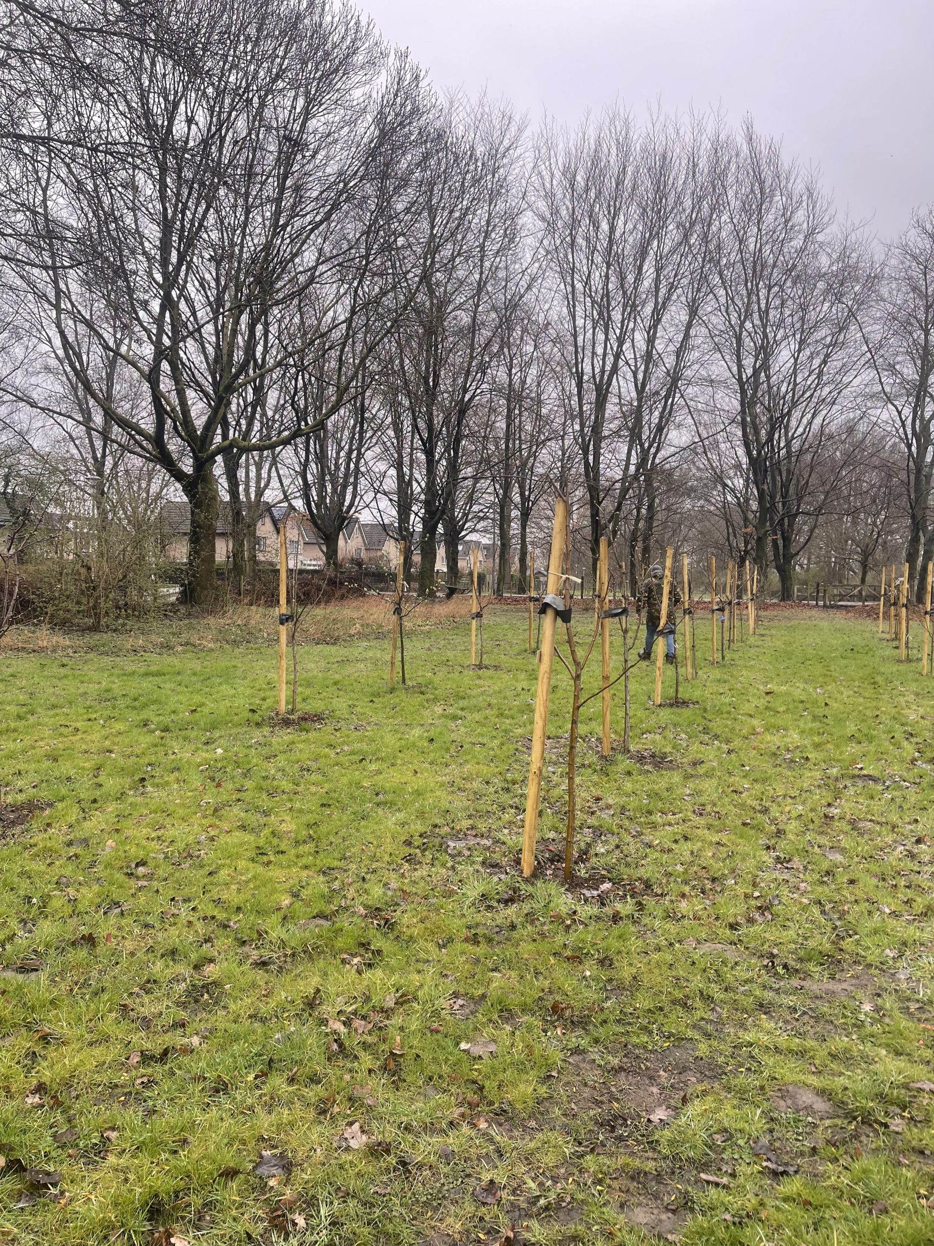 Tijdens NLdoet 2026 helpen vrijwilligers het voedselbos in Schelfhorst