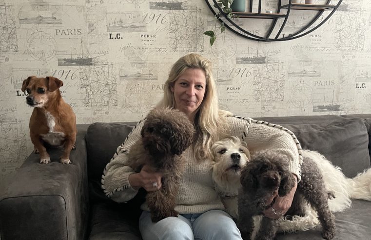 Ramona helpt honden een tweede thuis vinden: ‘Ik ga voor ze door het vuur’