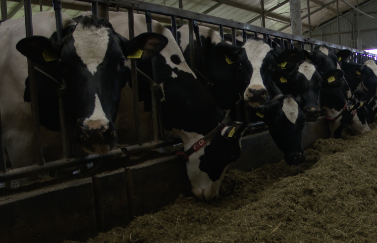 Slim boeren met nieuwe innovaties