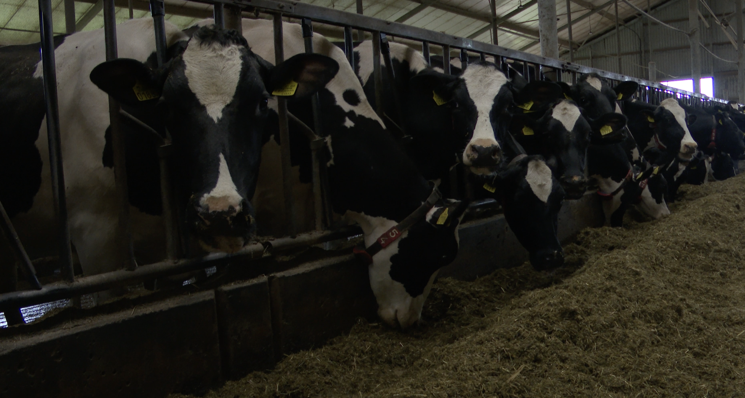 Slim boeren met nieuwe innovaties