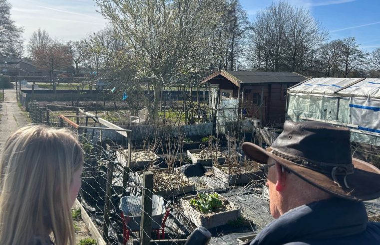 Onzekerheid over de toekomst van Volkstuinvereniging Schelfhorst