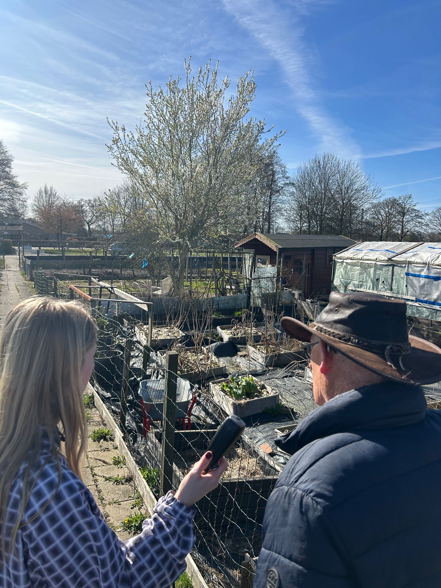 Onzekerheid over de toekomst van Volkstuinvereniging Schelfhorst