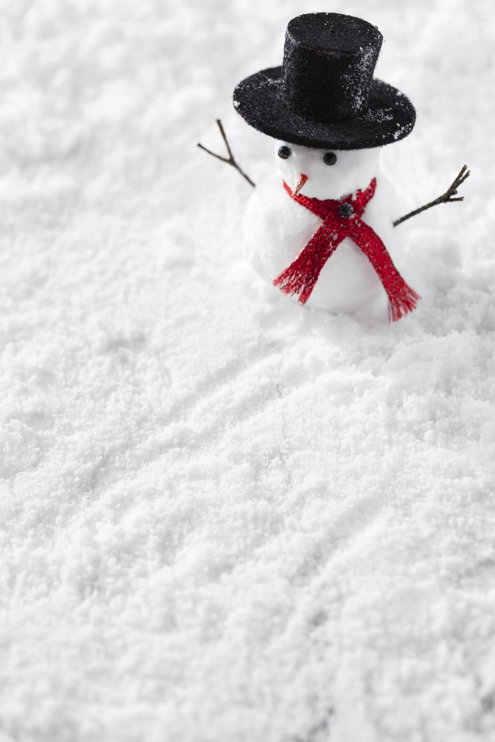 Op de foto staat een sneeuwpopje in de sneeuw