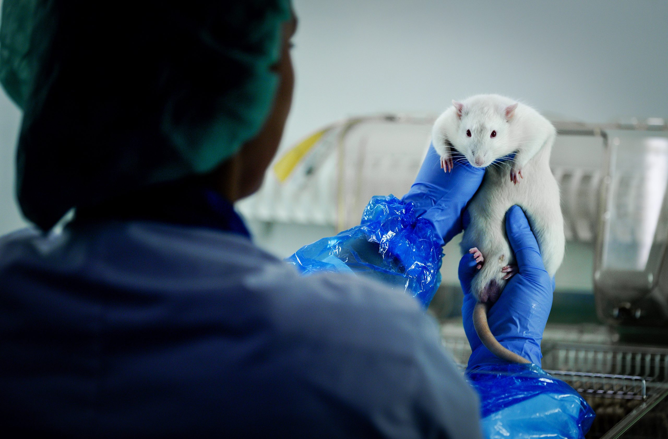 Proefdiervrij Nederland dichtbij, maar laatste stap blijft lastig