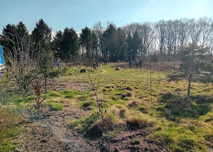 Geldmaat onderneemt stappen voor klimaat met Geldmaatbos