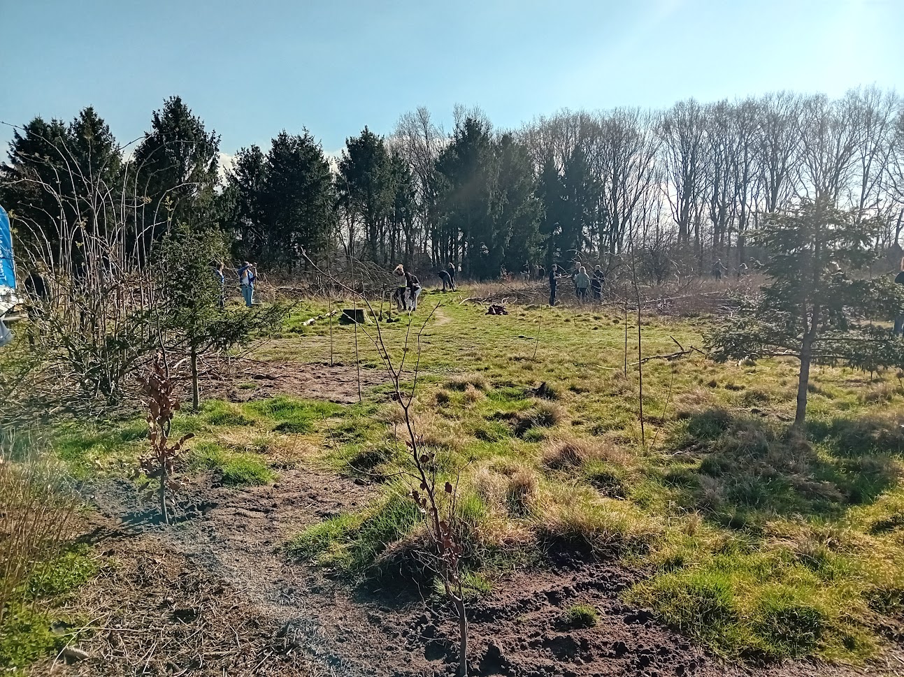 Geldmaat onderneemt stappen voor klimaat met Geldmaatbos