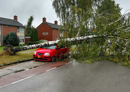 Omgewaaide boom blokkeert hele weg 