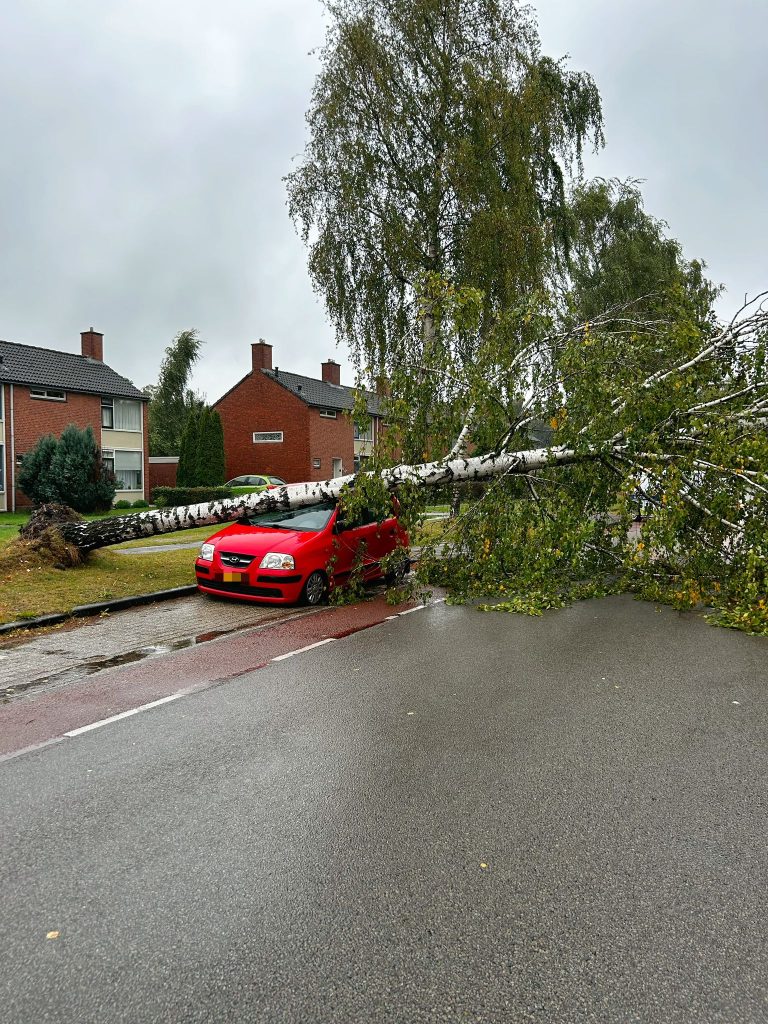 Omgevallen boom ligt boven op rode Hyundai.