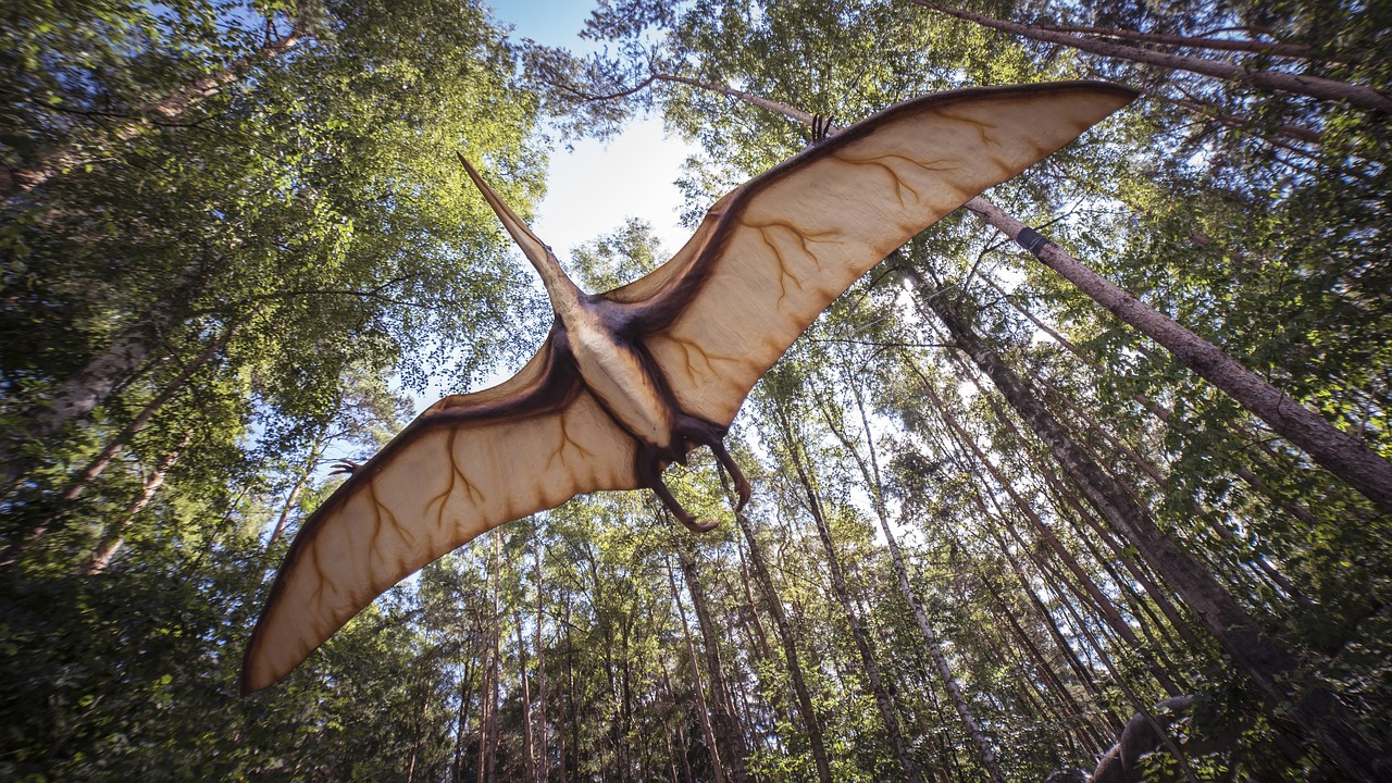 Veren van dinosauriërs te bewonderen in Oertijdmuseum