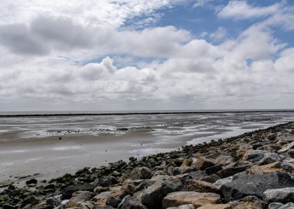 Wadlopen op Ameland laat niet altijd goede sporen na