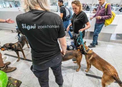 Nederlands team met zoekhonden in Marokko op zoek naar overlevenden