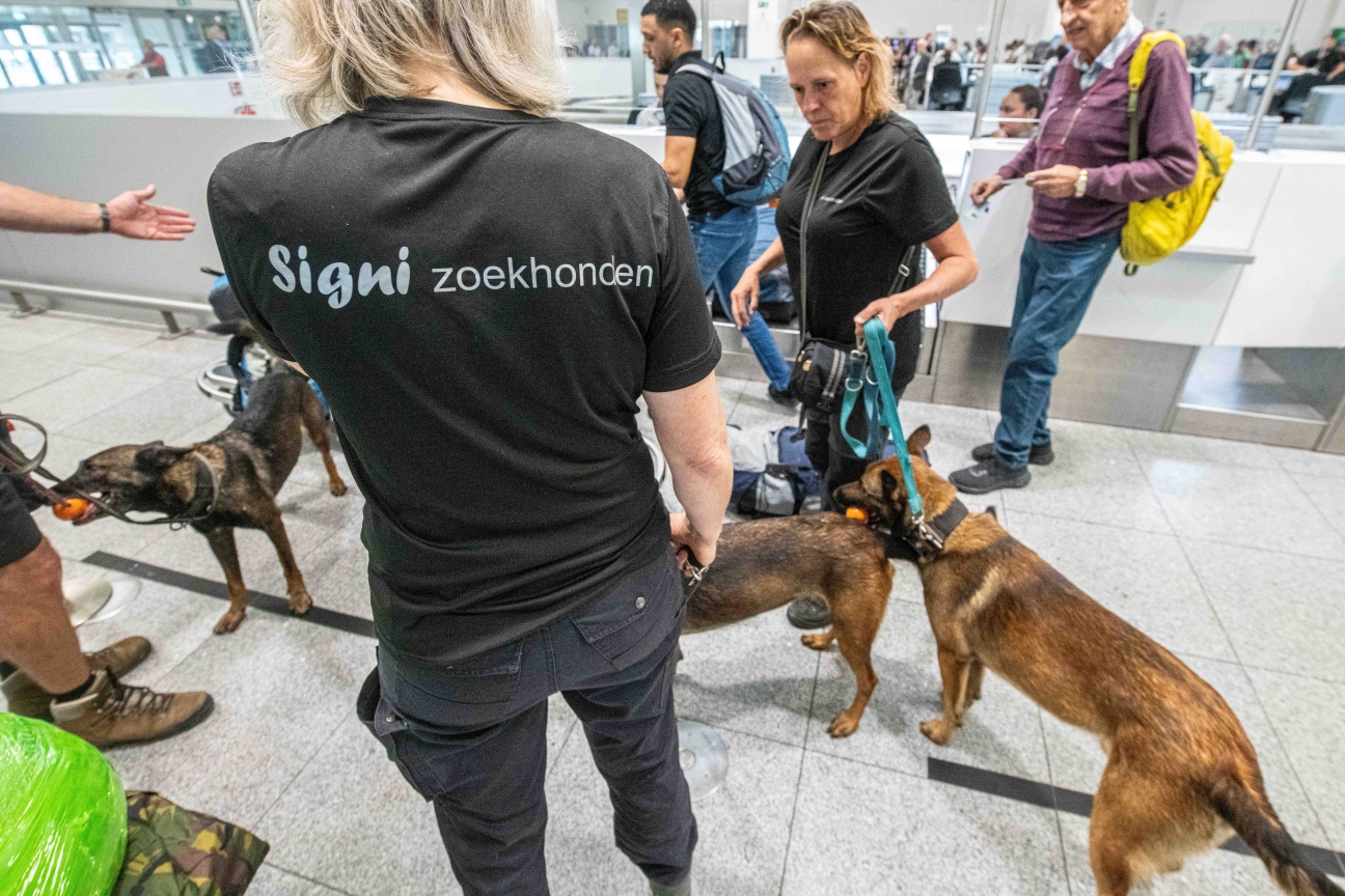 Nederlands team met zoekhonden in Marokko op zoek naar overlevenden