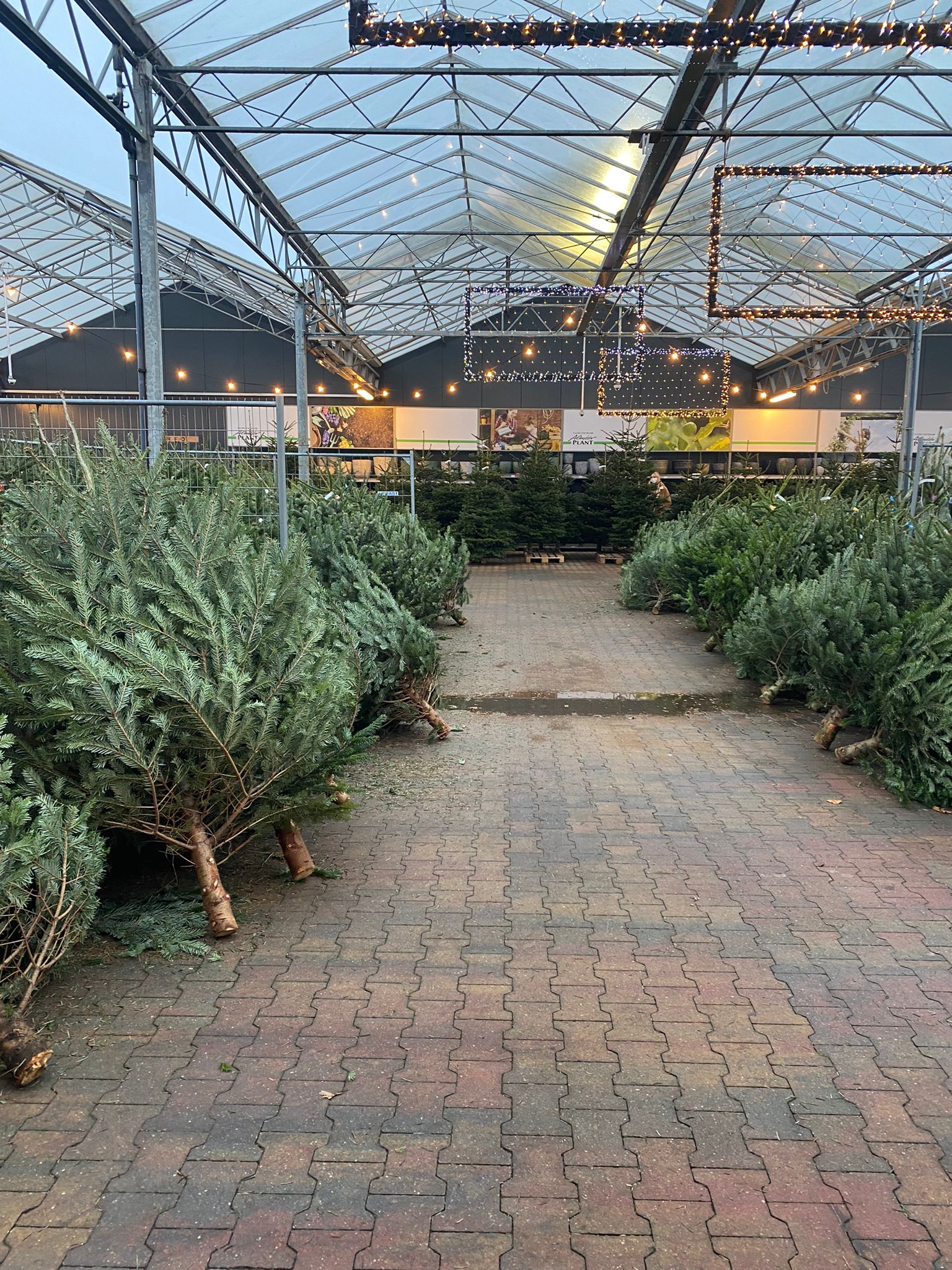 Zijn kerstbomen nog wel van deze tijd