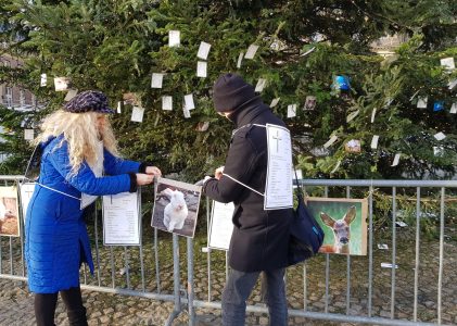 Oproep tot feestdagen zonder vlees 