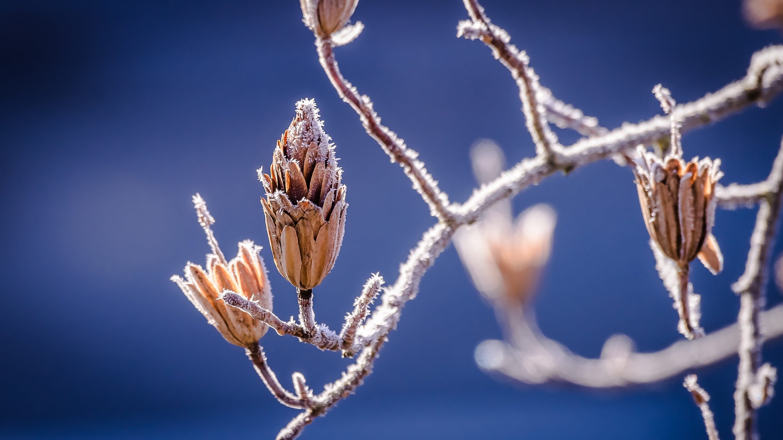 Steeds meer code geel deze winter