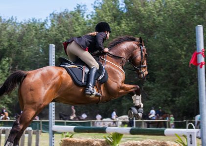 Paarden geschrapt van moderne vijfkamp na Olympische spelen Parijs