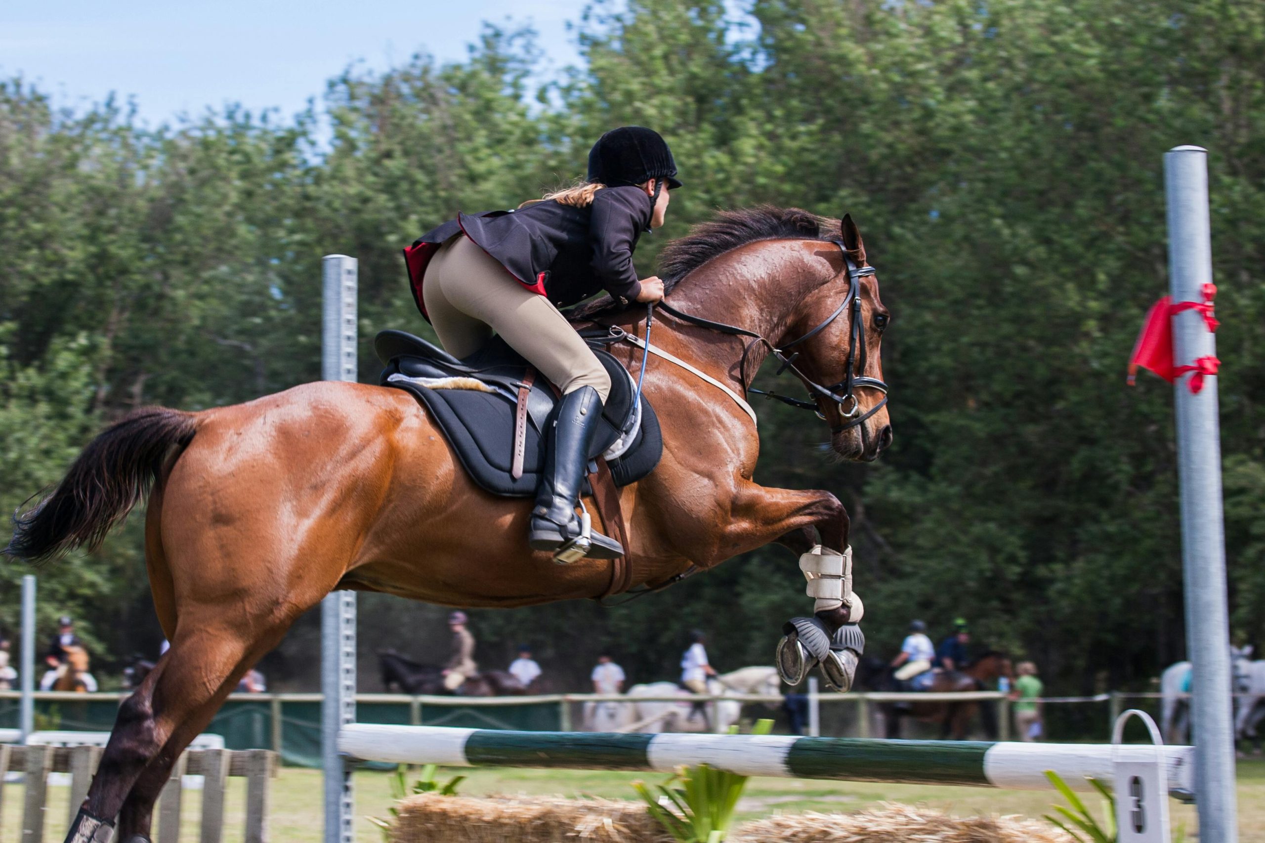 Paarden geschrapt van moderne vijfkamp na Olympische spelen Parijs