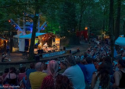 Bosjesfestival bestaat 20 jaar ‘maar we vieren het pas volgend jaar’