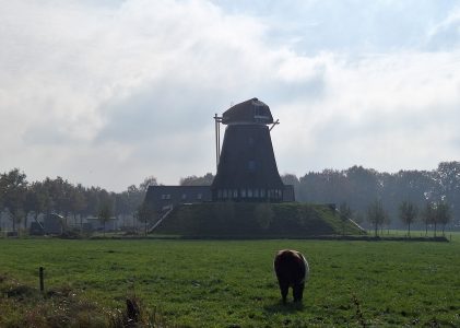 Dorpsicoon Wesepe “de molen van Dieperink” na 79 jaar eindelijk terug