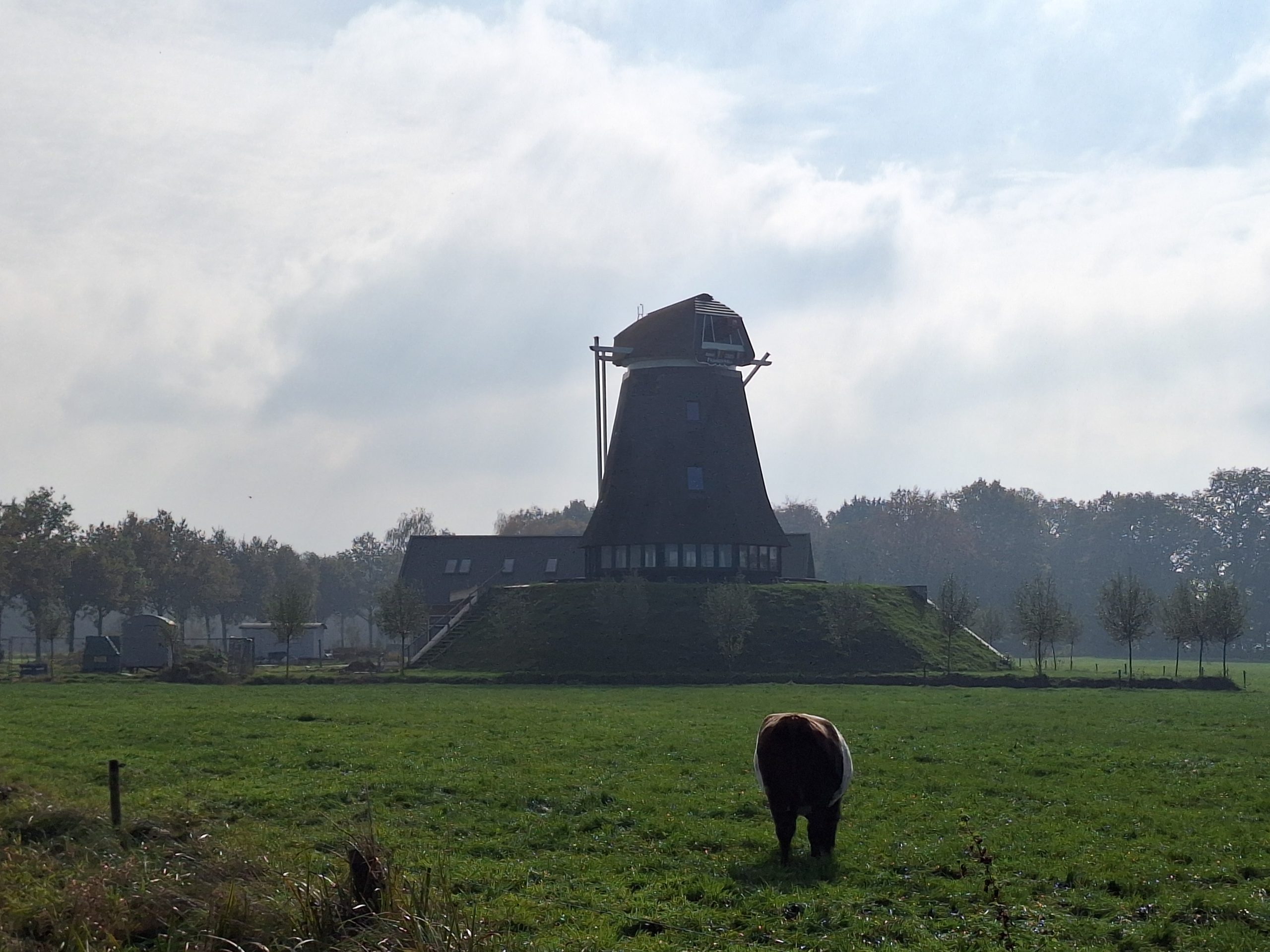 Dorpsicoon Wesepe “de molen van Dieperink” na 79 jaar eindelijk terug