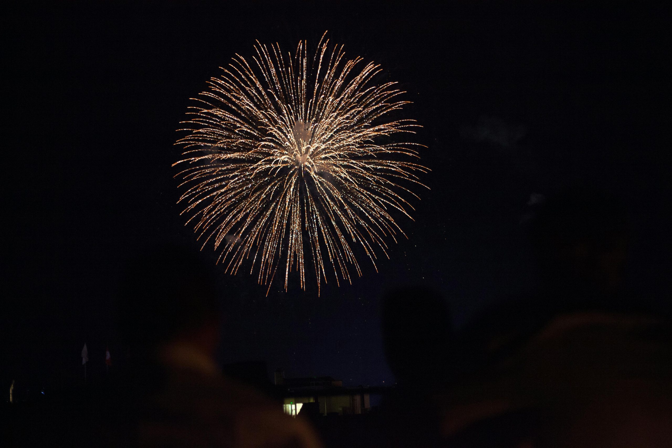 Nieuwjaarsviering gemeente Zutphen in zak en as 