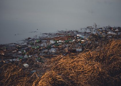 Rivieren in Nederland schoon door vrijwilligers