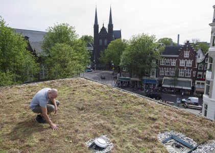 Inwoners Bijsteren leggen voor 125m² groene daken aan 