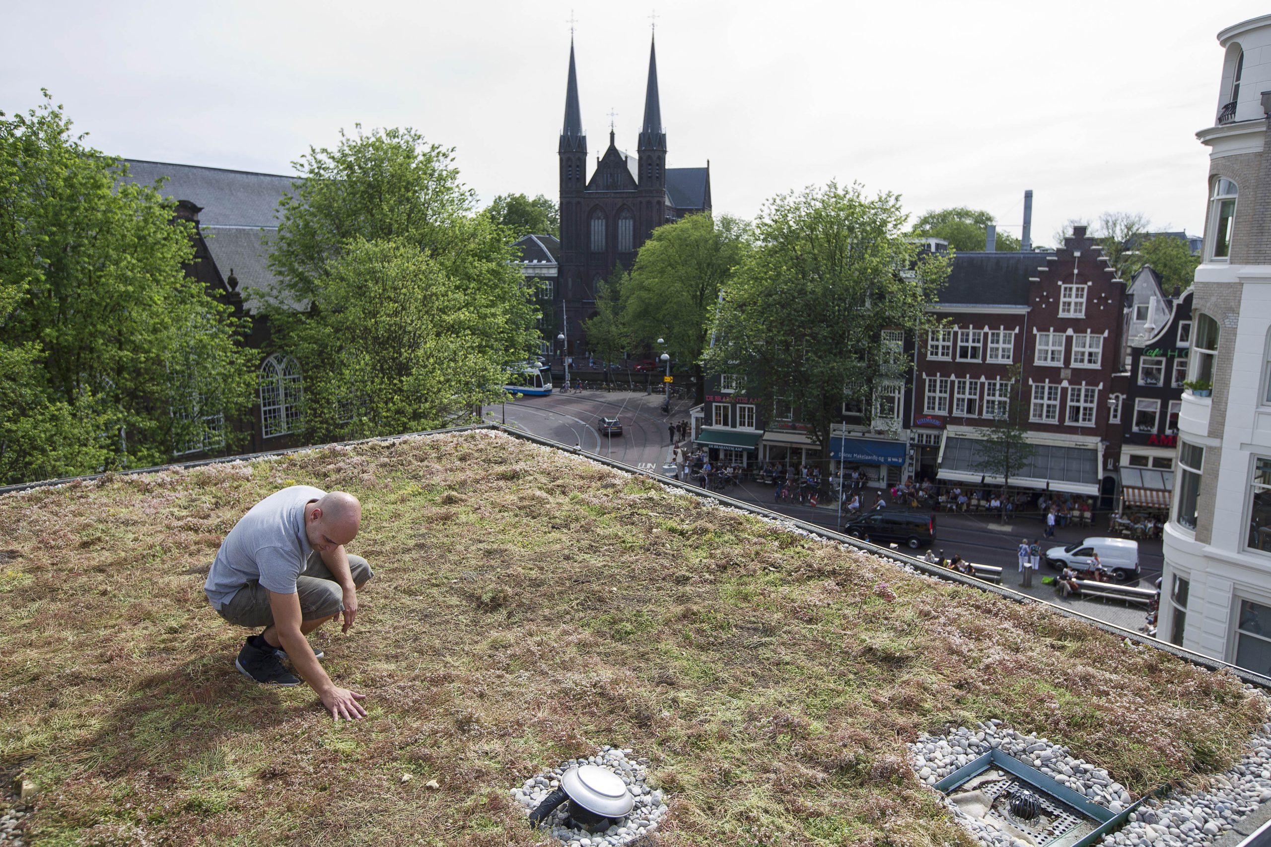 Inwoners Bijsteren leggen voor 125m² groene daken aan 