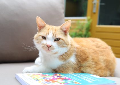 Leven met covid, twee jaar na de pandemie: “Ik heb vaker de vraag gekregen of het wel écht is”