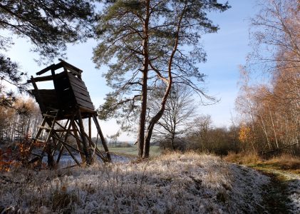 Midwinterhoornwandeling Eanske 