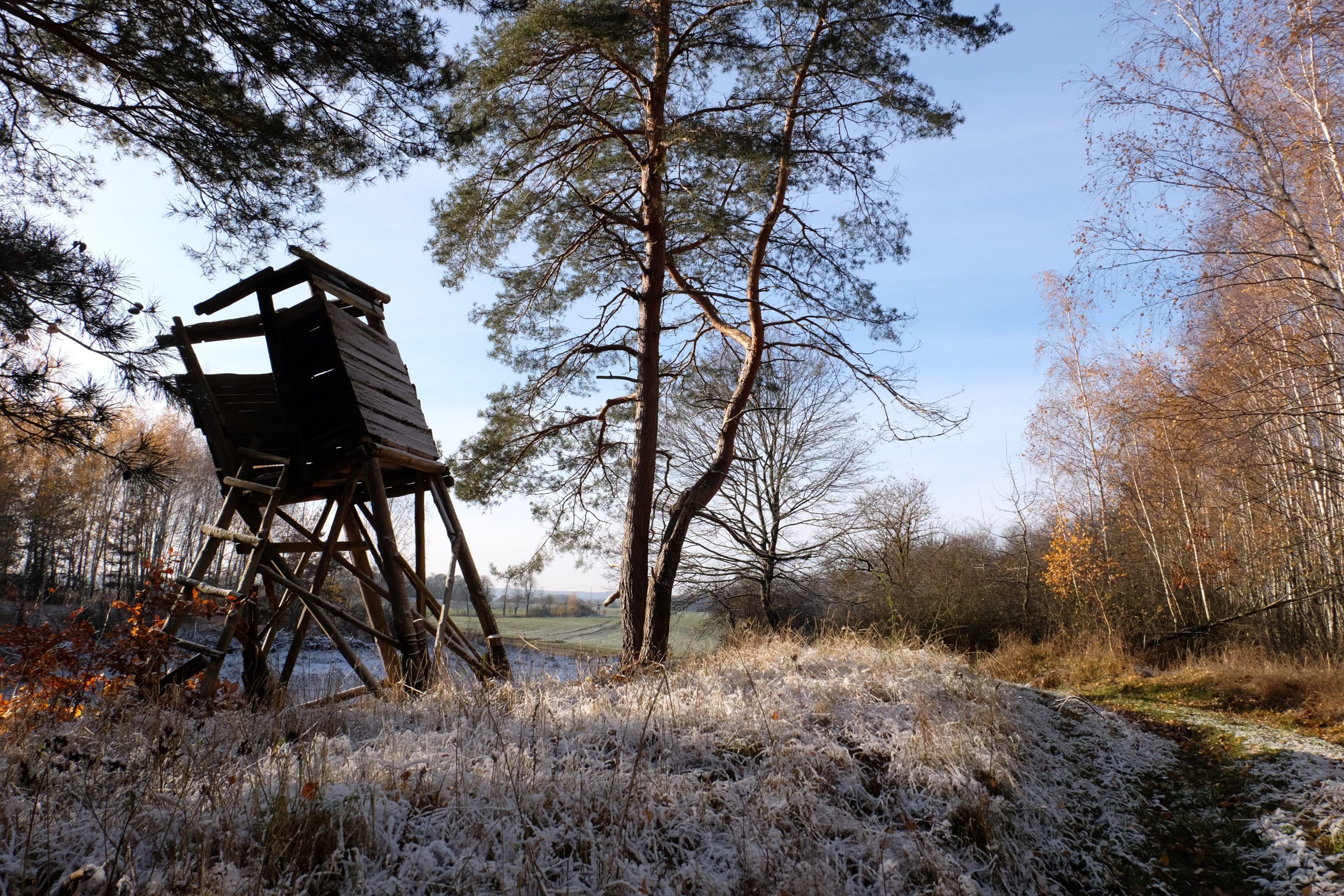 Midwinterhoornwandeling Eanske 