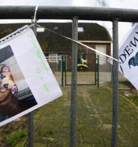 Drentsche Patrijshond bewust doorgefokt met kans op epilepsie